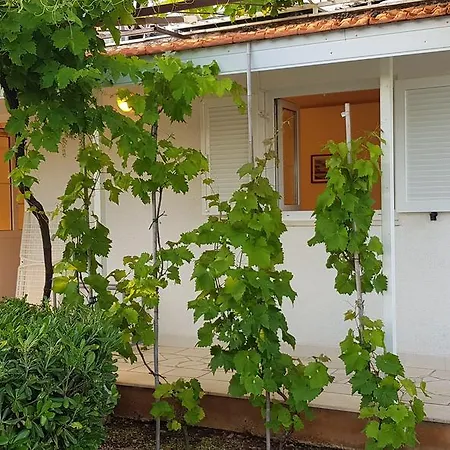 Apartman Olga & Jure