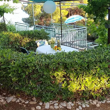Olga & Jure Apartman