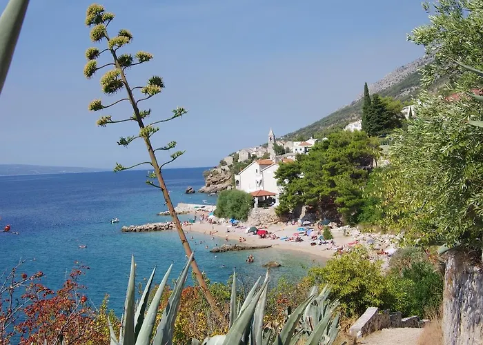 Lägenhet Olga & Jure